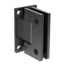 Edelstahl V2A Scharniere für Schwingtür Türbeschlag Glastür Pendeltür PVD BLACK Schwarz